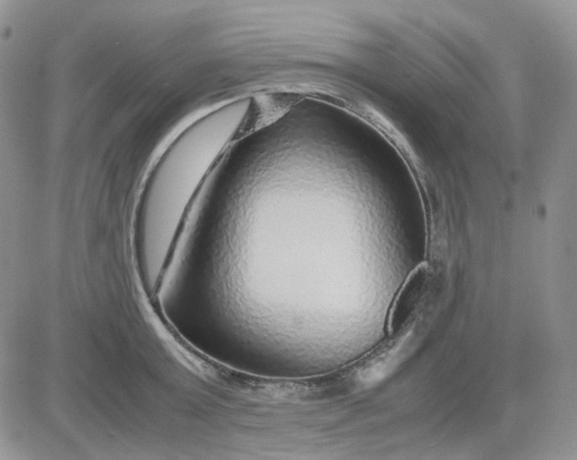 X0000081450803200701261911