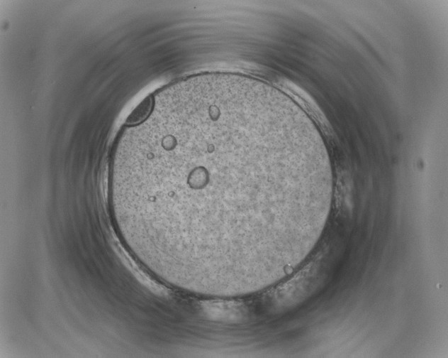 X0000081450804200701261911