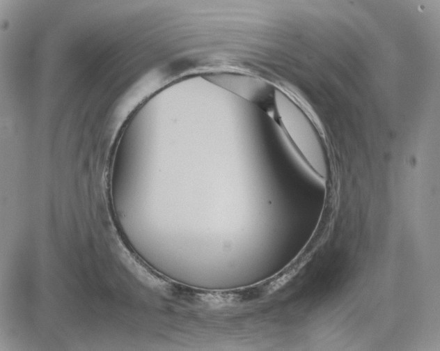 X0000081450805200701261911