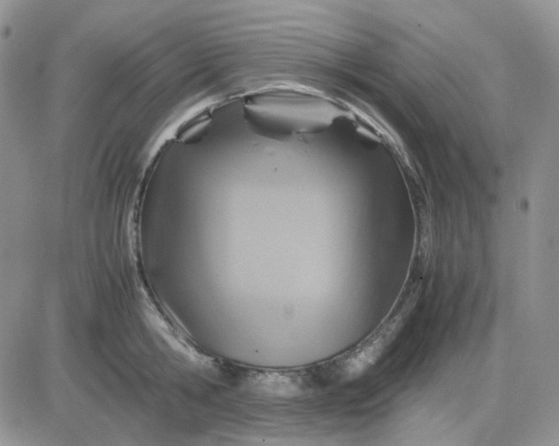 X0000081450806200701261911