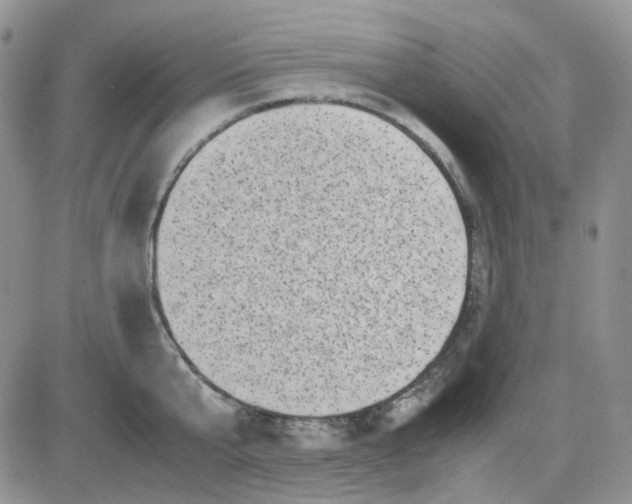 X0000081450807200701261911