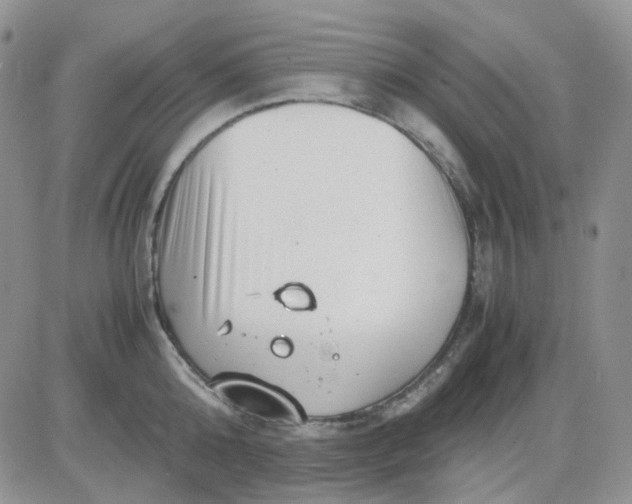 X0000081450808200701261911