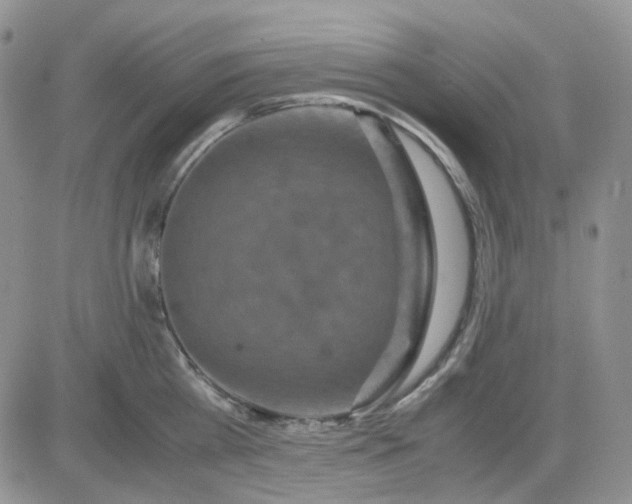 X0000081450809200701261911