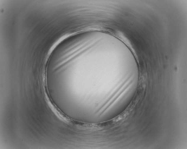 X0000081450811200701261911