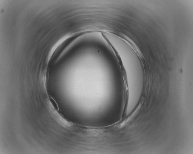 X0000081450812200701261911