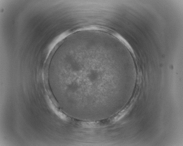 X0000081450813200701261911