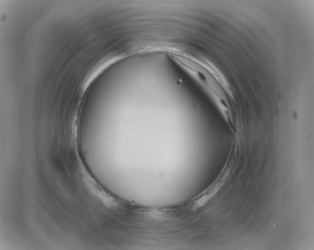 X0000081450814200701261911