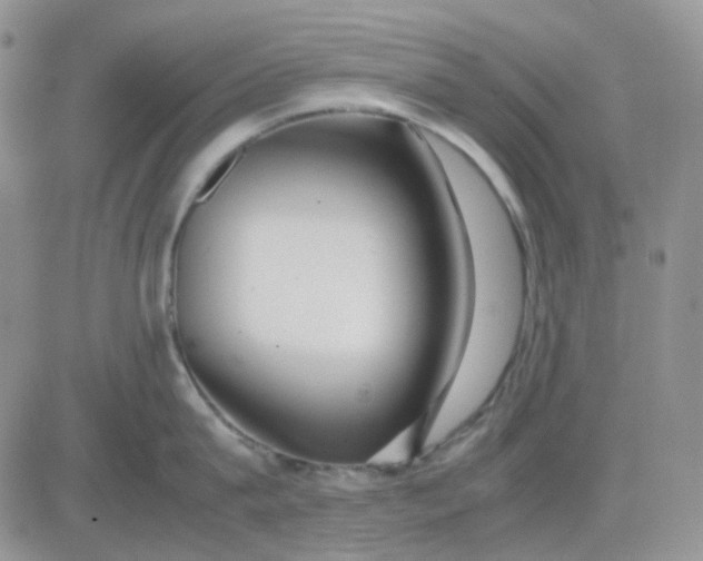 X0000081450815200701261911