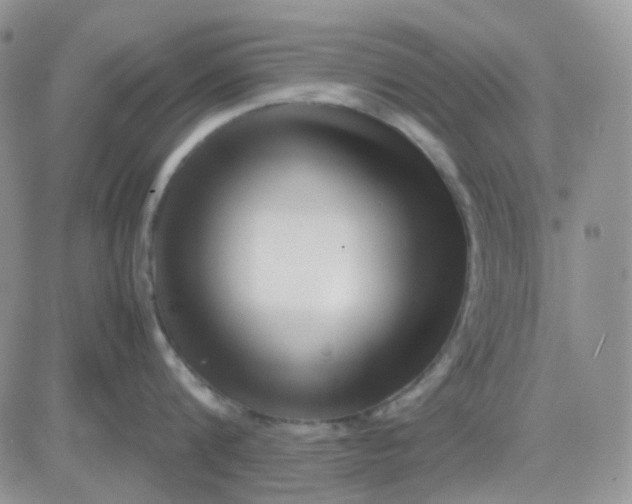 X0000081450816200701261911