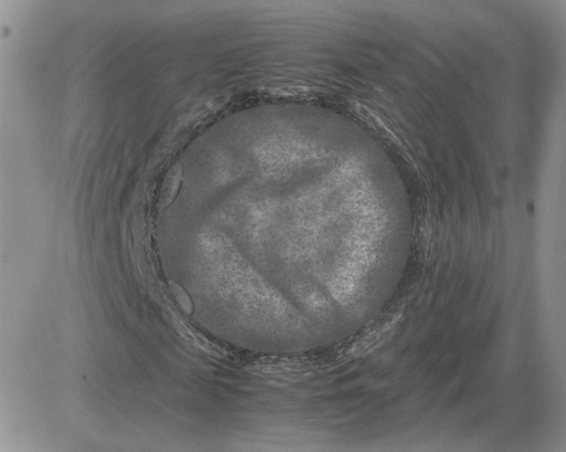 X0000081450817200701261910