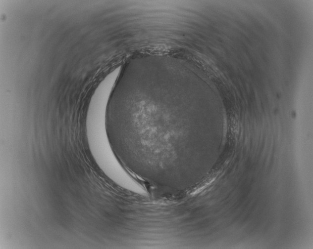 X0000081450818200701261910