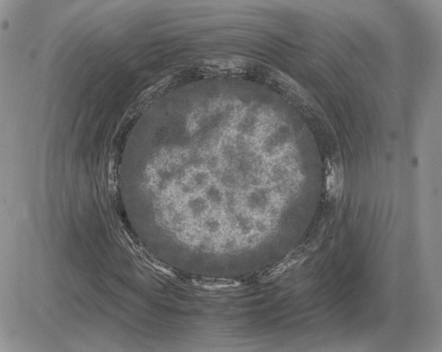 X0000081450819200701261910