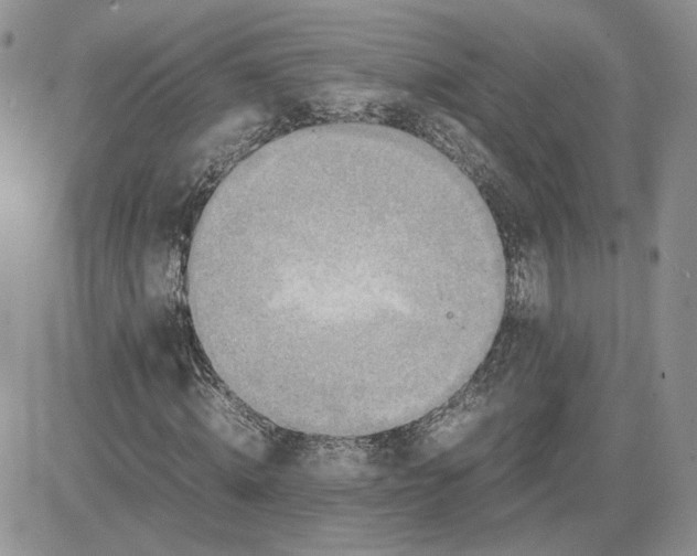 X0000081450820200701261910