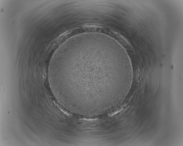 X0000081450821200701261910