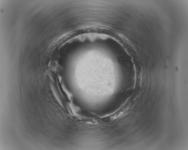 X0000081450822200701261910