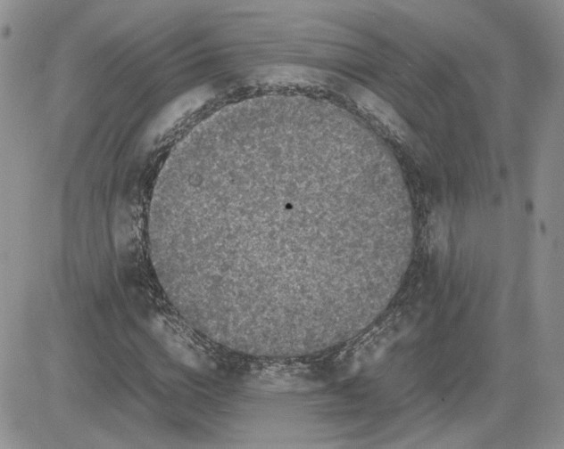 X0000081450824200701261910