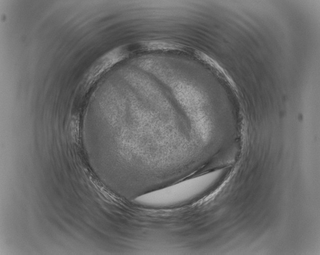 X0000081450825200701261910