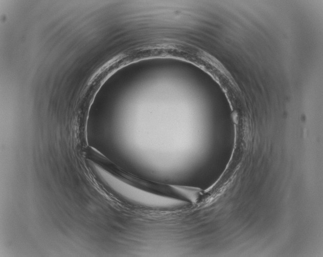 X0000081450826200701261910