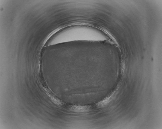 X0000081450829200701261910