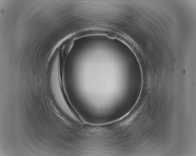 X0000081450830200701261910