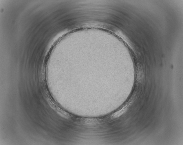 X0000081450832200701261910