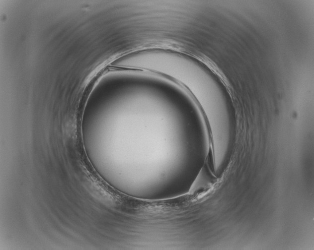 X0000081450834200701261910