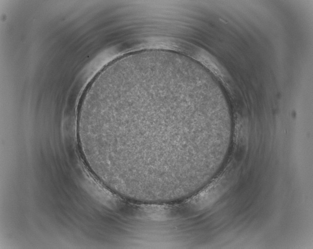 X0000081450836200701261910