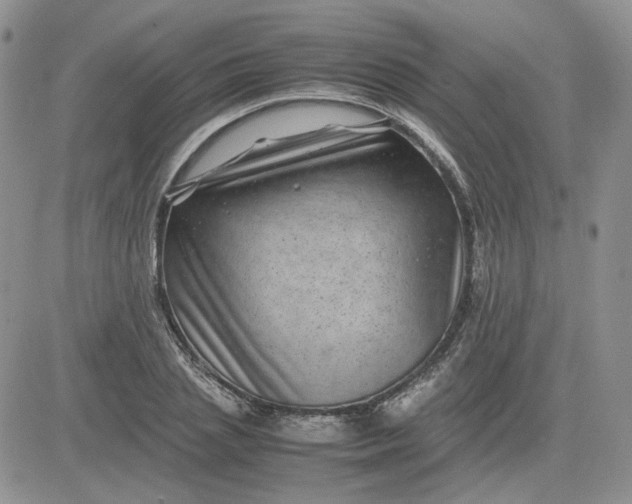 X0000081450837200701261910