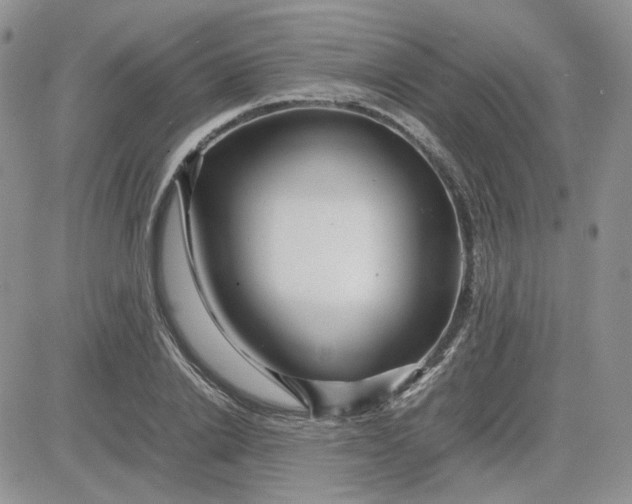 X0000081450838200701261911