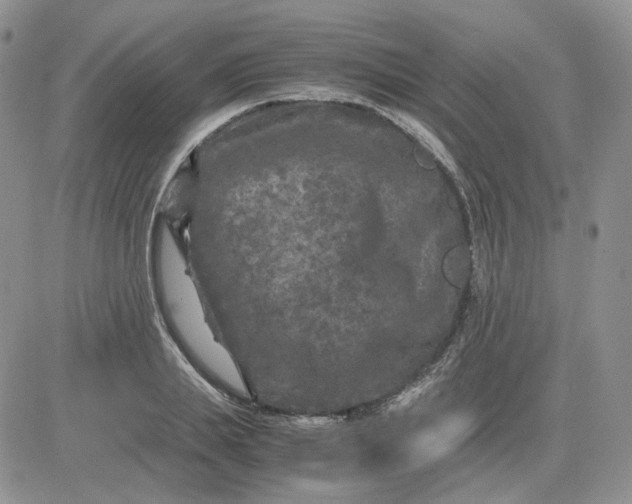 X0000081450839200701261911