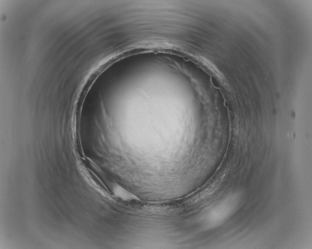 X0000081450840200701261911