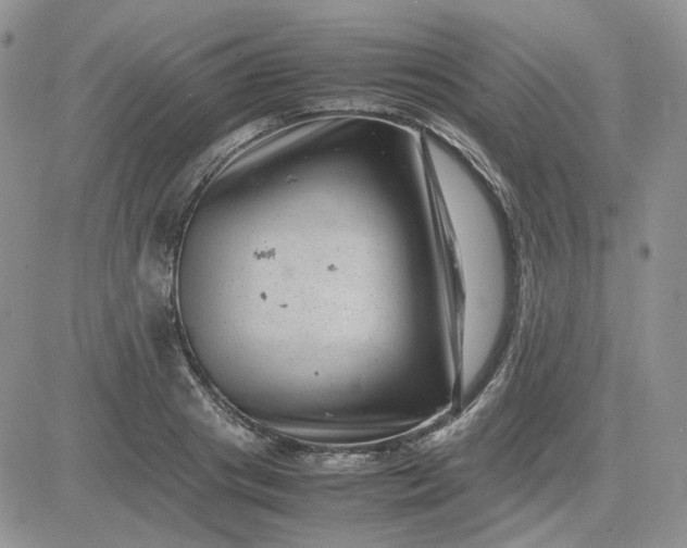 X0000081450841200701261911