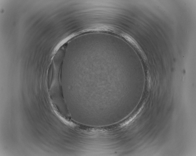 X0000081450842200701261911