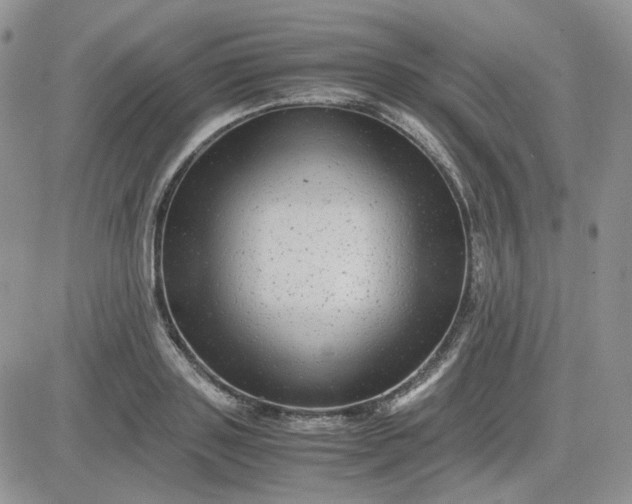 X0000081450843200701261911