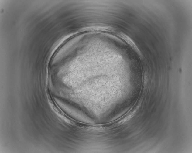 X0000081450844200701261911