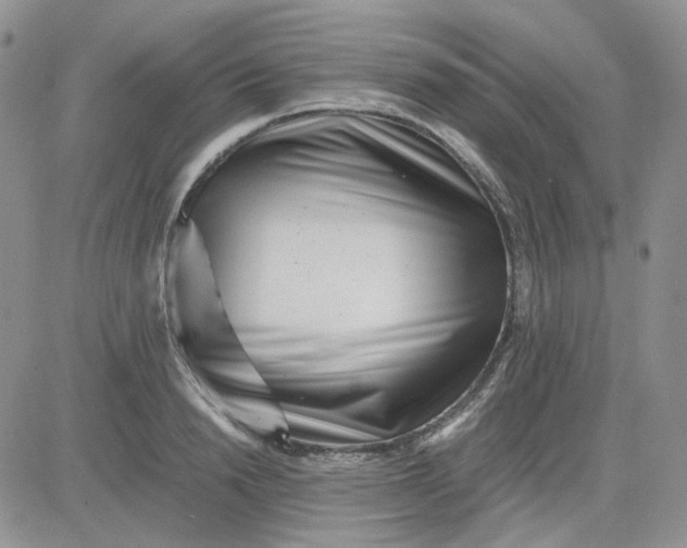 X0000081450846200701261911