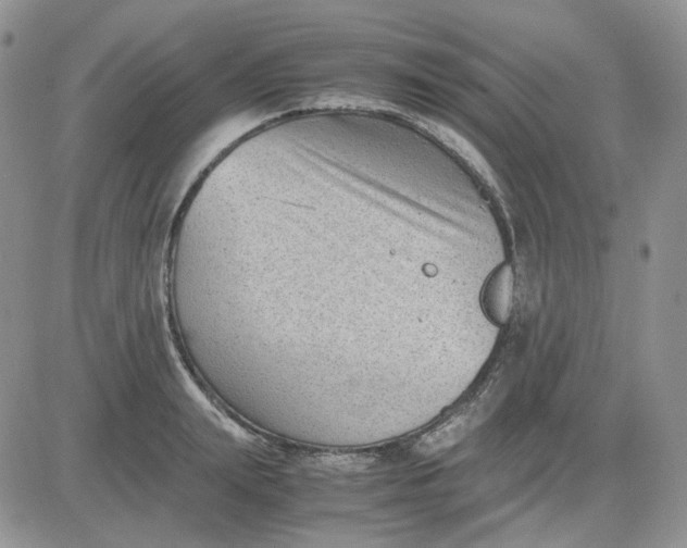 X0000081450847200701261911