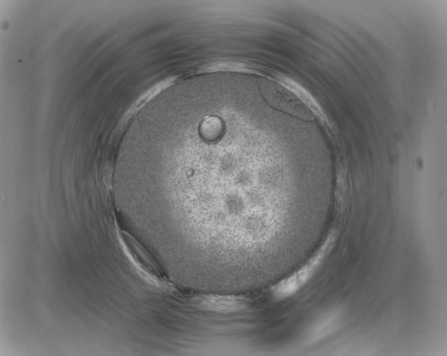 X0000081450849200701261911