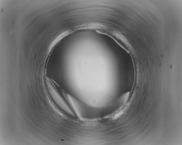 X0000081450850200701261911