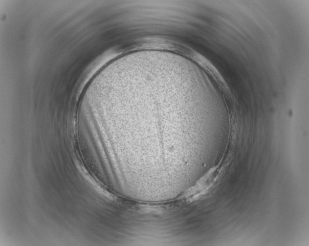 X0000081450852200701261911