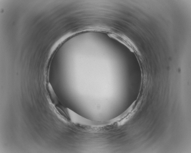 X0000081450854200701261911