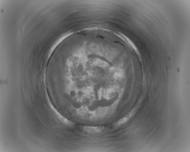 X0000081450855200701261911