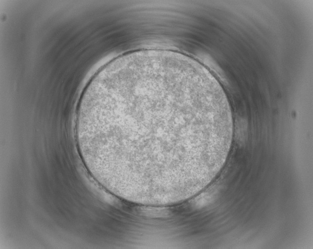 X0000081450856200701261911