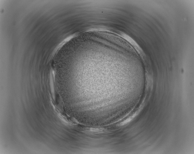 X0000081450857200701261911