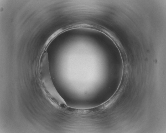 X0000081450858200701261911