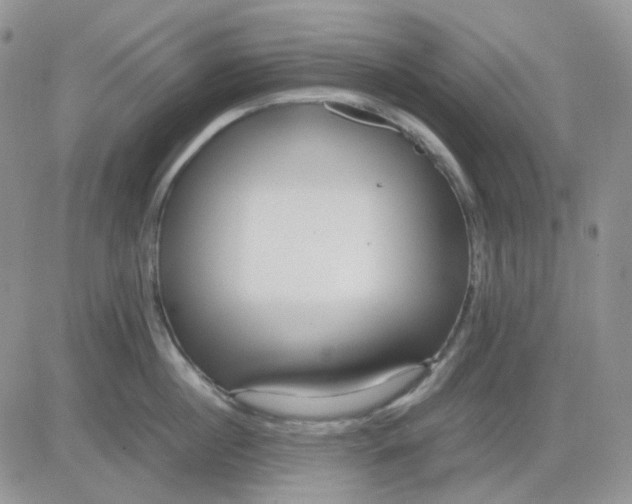 X0000081450860200701261911