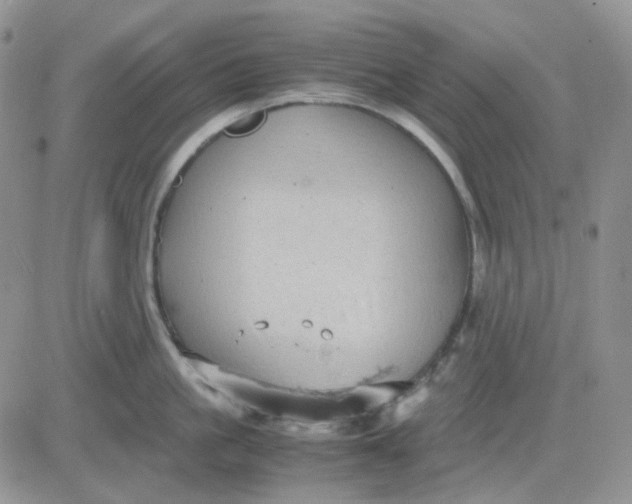 X0000081450861200701261911