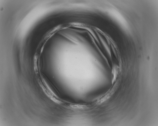 X0000081450862200701261911