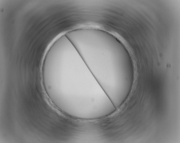 X0000081450864200701261911