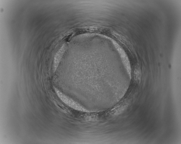 X0000081450865200701261910